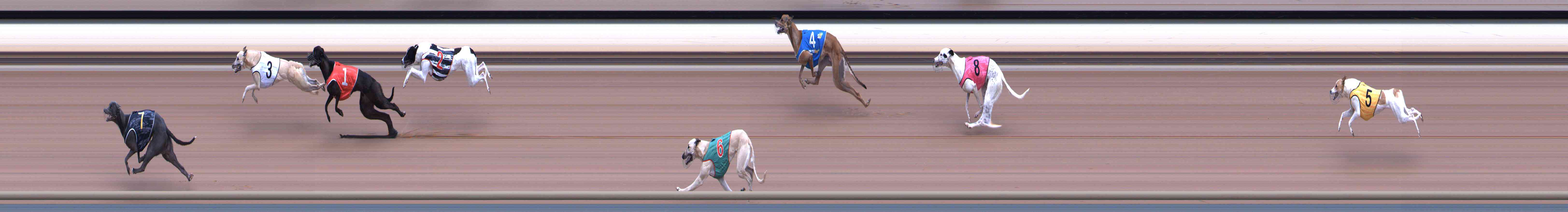 Race result finish photo